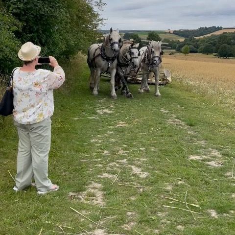 Profile Picture of Alan Lyall (@@alanlyall0) on Tiktok