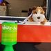 Profile Picture of Hope Raising Hope (@hope.raising.3) on Facebook
