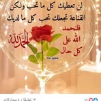 Profile Picture of Amal Elgammal (@amal.elgammal.845949) on Facebook