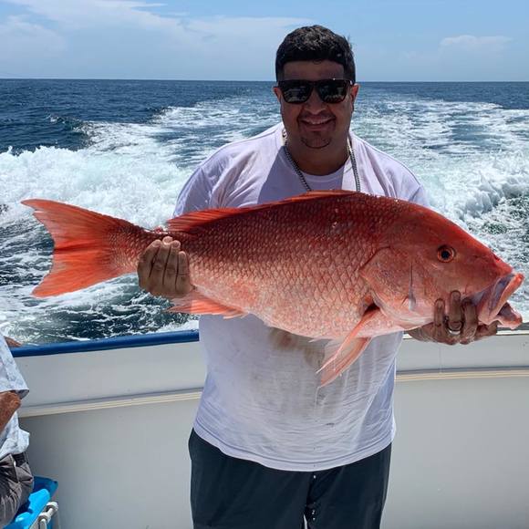 Profile Picture of Christopher Massieu (@cmassieu) on Poshmark