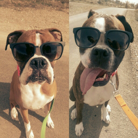 Profile Picture of Lori Bingham (@lobingham) on Poshmark