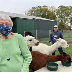 Profile Picture of lorraineschluter (@lorraineschluter) on Tiktok