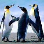 Profile Picture of Michael Pollack (@mikepoll309) on Instagram