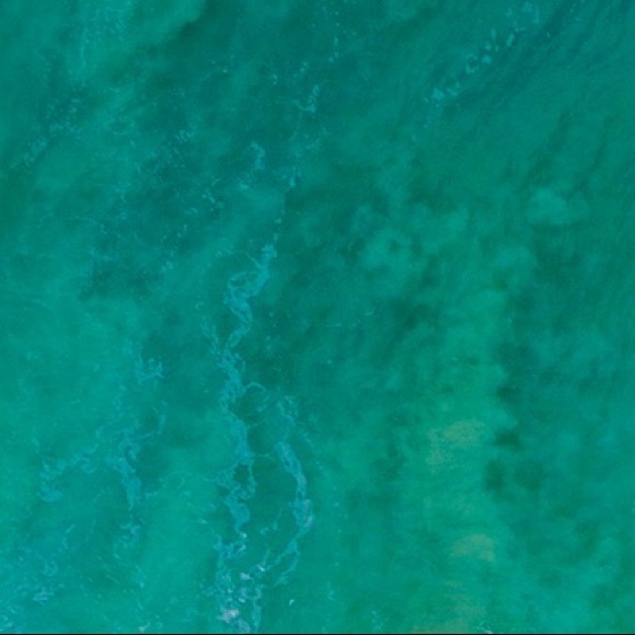 Profile Picture of Mike Cruz (@ayemikeshakes) on Poshmark