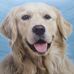 Profile Picture of Jan Biel (@jan.biel.50) on Facebook