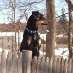 Profile Picture of Michael Magee (@funny_from_finland) on Instagram