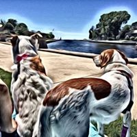 Profile Picture of Jennifer Grosskurth (@jennifer-grosskurth) on Quora