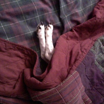Profile Picture of Alice Myers (@@WeezyMyers) on Twitter