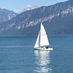 Profile Picture of Lori Groves (@lbgroves) on Instagram