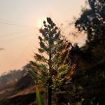 Profile Picture of Asim Rajan Inamdar (@asim_inamdar_) on Instagram
