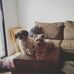 Profile Picture of Ralph Sharp (@ralph.sharp.733) on Facebook