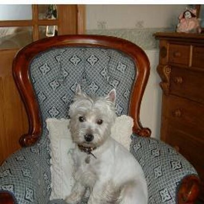 Profile Picture of Gillian France Walsh (@GILLIAN52) on Twitter