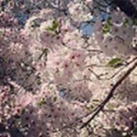 Profile Picture of Janeen Keller (@janeen-keller) on Quora