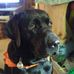 Profile Picture of Lori Adkins (@lori.adkins.35574) on Facebook