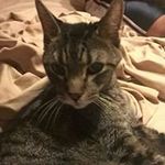 Profile Picture of Christopher Wimbush (@christopherwimbush) on Instagram