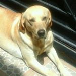 Jaime de Anda - Instagram Profile Picture of Jaime de Anda (@jademon1160) on Instagram