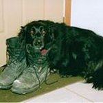 Profile Picture of Daryl Cronin (@dcronin3) on Instagram