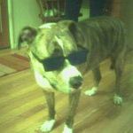 Profile Picture of Nora Greer (@aznfg) on Pinterest