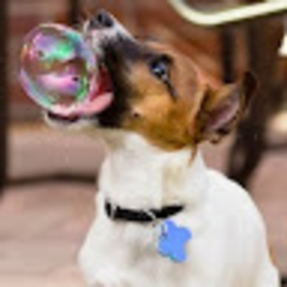 Profile Picture of Christopher Giaccone (@c_giaccone) on Poshmark