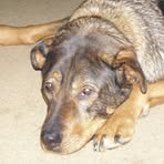 Profile Picture of Lorne Hubbell (@lorna.hubbell) on Facebook