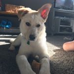 Profile Picture of Matthew Von Ed (@matthew_von_ed) on Instagram