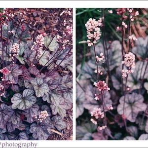 Profile Picture of Bitna Kim (@100001173) on Myspace