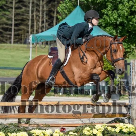 Profile Picture of Anika Jagemann (@ajagemann) on Poshmark