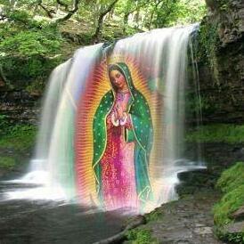 Profile Picture of Lizette Aviles (@lizettemarie06) on Twitter