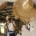 Profile Picture of Alex Triñanes Donato (@alex.trinanes.165) on Facebook