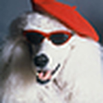 Profile Picture of Lizette Alvarez (@hallolichi) on Flickr