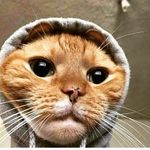 Brian Agüero - Instagram Profile Picture of Brian Agüero (@brnaguerox) on Instagram