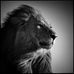 Profile Picture of Thomas Castaldi (@thomas.castaldi.71) on Facebook