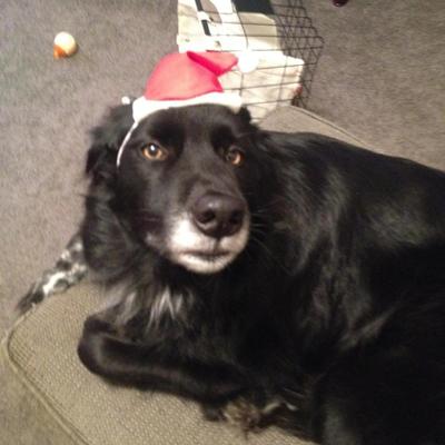 Profile Picture of Chuck Marks (@chasman609) on Twitter