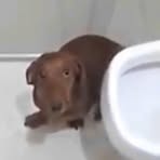 Profile Picture of Joseph Gray (@Joseph-Gray) on Facebook