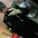 Profile Picture of Bryan Martz (@martz401) on Instagram