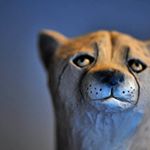 Profile Picture of Miranda 🔅 (@laconic.story) on Instagram