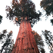 Profile Picture of Jeff McIlroy (@jeffmcilroy3133) on Youtube