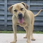 Chuck Fernandez - Instagram Profile Picture of Chuck Fernandez (@cof305) on Instagram