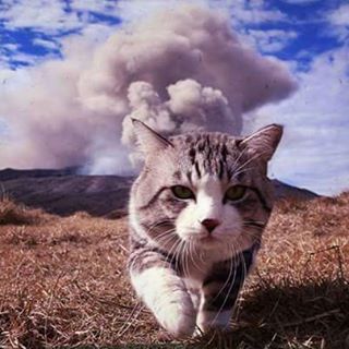 Profile Picture of Mateyas Jon (@mateyas.jon) on Facebook