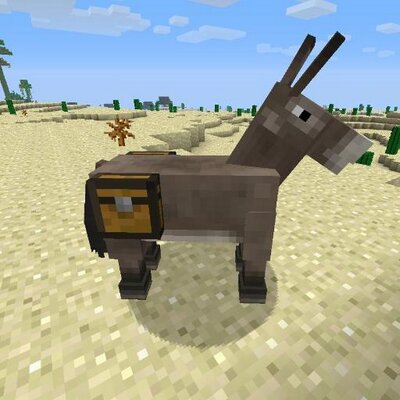 Profile Picture of Carlos Perfecto (@Carlosperfecto6) on Twitter