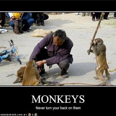 Profile Picture of Matt (@GorgonTheWicked) on Twitter