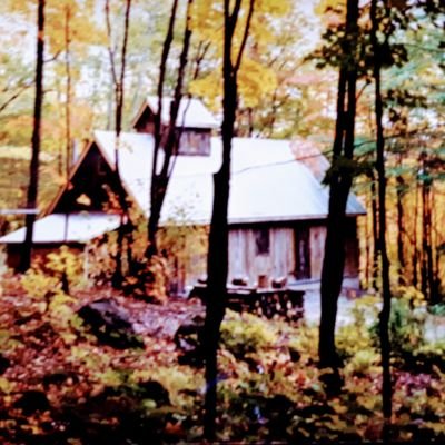 Profile Picture of Jean Lamy (@jlam3392j) on Twitter