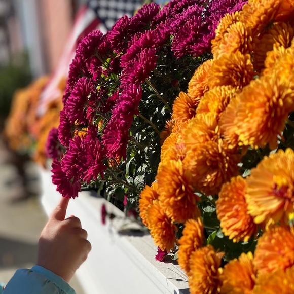 Profile Picture of Rachel Malara (@rachelmalara) on Poshmark