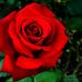 Profile Picture of Mavis Reid (@Mavis-Reid) on Facebook
