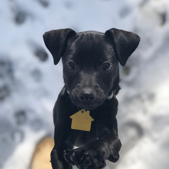 Megan Durski - Poshmark Profile Picture of Megan Durski (@megangrace94) on Poshmark