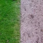 Profile Picture of Robert Hsueh (@ch.hsueh) on Instagram