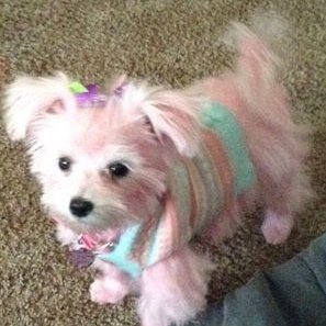 Profile Picture of Joyce Beard (@JoyceBeard61) on Twitter