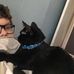 Profile Picture of Craig Tweedie (@craig.tweedie.3766) on Facebook