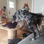 Profile Picture of Keeton Taylor (@keton698) on Instagram