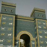 Profile Picture of Alexander Babel (@alexander.babel.969) on Instagram